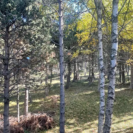 Chalet 8 Voyageurs Avec Terrasse Pres Des Pistes